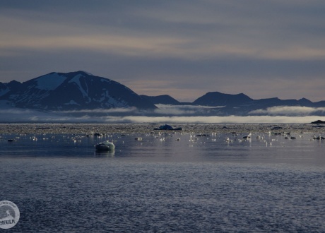 Arktyka. Fot. © Małgosia Busz, Barents.pl