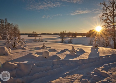 Zimowa Karelia - idealna na biegówki.