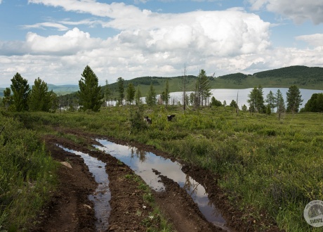 Altai: cycling the most beautiful Siberian mountains © Joanna Feil z Barents.pl