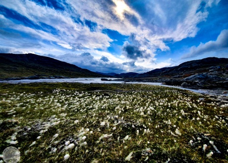 Hardangervidda i Trolltunga: trekking przez surowy płaskowyż Norwegii fot. © Jan Prasałek z Barents.pl