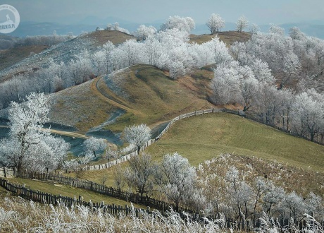 Spacery na mroźnym, świeżym powietrzu. Zimowe pejzaże rumuńskiego Banatu. © Ivo Dokoupil, Barents.pl
