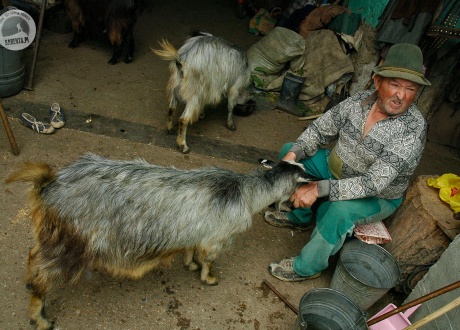 Życie na banackiej wsi. Wycieczka do Banatu w Rumunii. Fot. © Ivo Dokoupil, Barents.pl