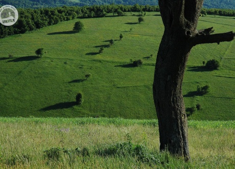 Krajobrazy Banatu. Wycieczka do Banatu w Rumunii. Fot. © Ivo Dokoupil, Barents.pl
