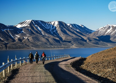 Jedna z nielicznych dróg na Spitsbergenie - między lotniskiem a stolicą. Fot. © Roman Stanek, Barents.pl