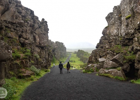 Islandia, trekking przez Półwysep Hornstrandir. fot. © Mateusz Kuszela, Barents.pl