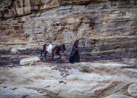 Jordania: Petra i Wadi Rum fot. © Roman Stanek, Barents.pl