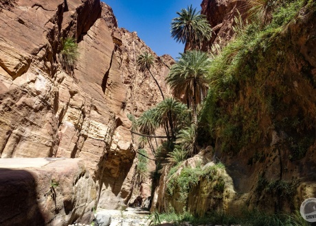 Kelionė į Jordaniją: Petra, Amanas, Wadi Rum dykuma ir žygiai fot. © Mateusz Kuszela, Barenta.pl