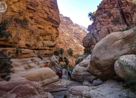 Jordanija ir Petra: Naujųjų metų išvakarės ir Naujieji metai Wadi Rum dykumoje fot. © Mateusz Kuszela, Barents.pl