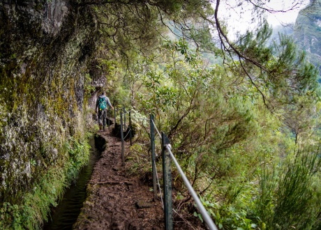 Madeira: pasivaikščiojimai palei levadas ir amžinojo pavasario salos pažinimas @ Małgosia Busz, Barents.pl