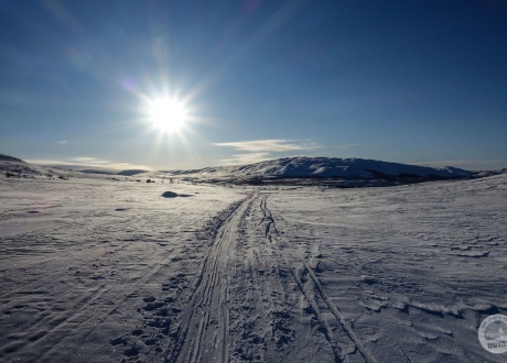 Laponia: Arktyczne wycieczki na biegówkach fot. © Mateusz Kuszela, Barents.pl