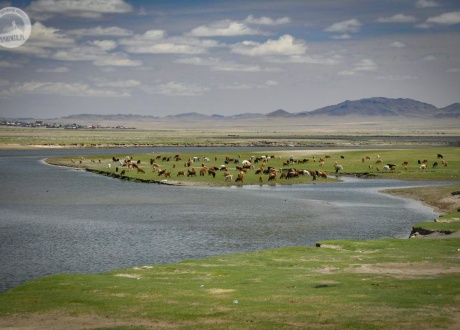 Wyprawa do Mongolii: przez mongolski step i pustynię. Fot. © Ivo Dokoupil, Zdenek Vacha dla Barents.pl