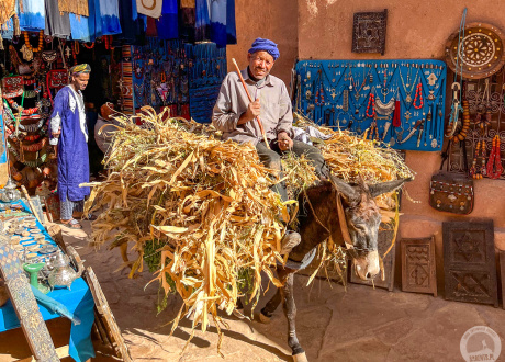 Maroko: podróż przez Atlas, Saharę i berberyjskie wioski Fot. © Ola Matusz, Barents.pl