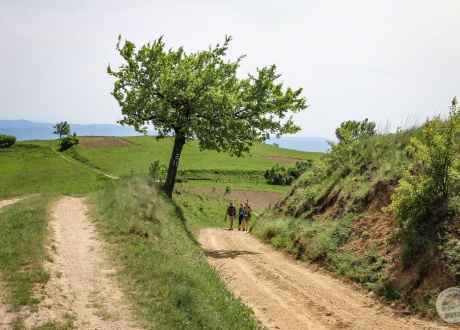 W drodze. Majówka w rumuńskim Banacie z 2018 r. fot. © Wiola Kado z Barents.pl