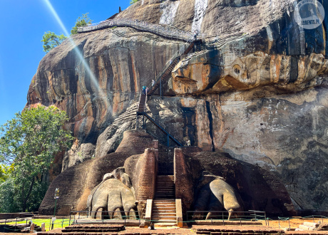 Sri Lanka: Budda, herbata i słonie fot. © Małgosia Busz, Barents.pl