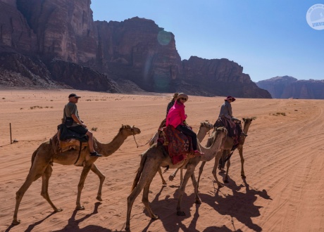 Jordania: Trekking z wielbłądami przez pustynię Wadi Rum fot. © Paweł Gardziej, Barents.pl