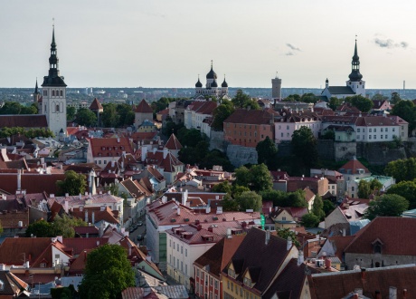 Wycieczka do Estonii: estońska przyroda i Vana Tallinn fot. © Kevin McMahon
