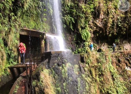 Madeira: pasivaikščiojimai palei levadas ir amžinojo pavasario salos pažinimas @ Iwona Frydryszak, Barents.pl